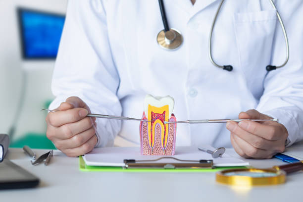 Best Emergency Root Canal Treatment in Dimondale, MI